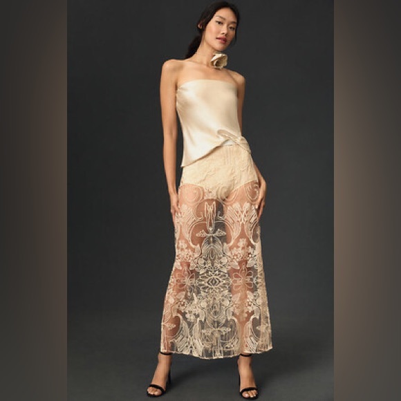Anthropologie Dresses & Skirts - NWOT Anthropologie sheer embroidered skirt sz L